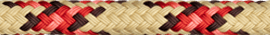 Image-WarpSpeed®3 SD